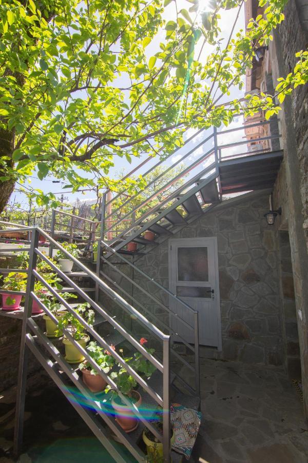 Hotel The Mosaic House - Shtepia Me Mozaik Përmet Exterior foto